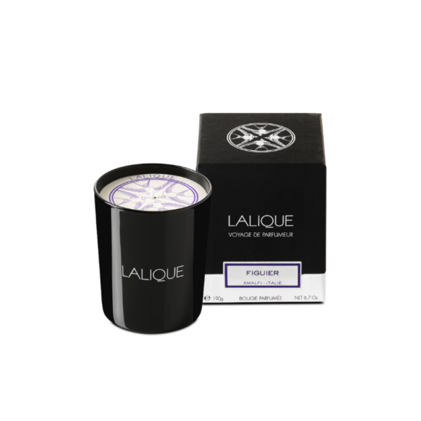 Fig Tree, Amalfi - Italy, Scented Candle