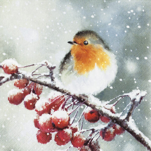 Hello Robin