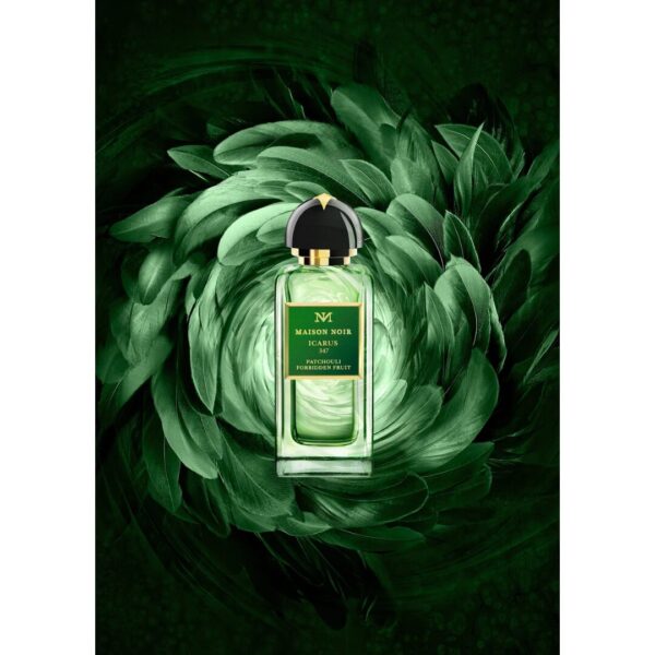Maison Noir Icarus 347 EDP